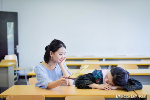 华南师范大学函授专业代码