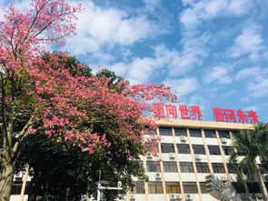 华南师范大学汕尾附属中学成人礼